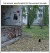 1777548093964.webp
