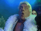giphy_32.gif