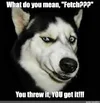 1777778180926.webp
