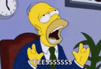homer-simpsons-the-simpsons.gif