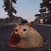 1775679106463450.gif