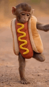 Dance Monkey.gif
