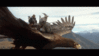airnzhobbit-8-o_qqeqxo.gif