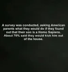 1778981801376.webp