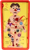 operation SFA.webp