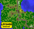 Leysher_streets_smaller.gif