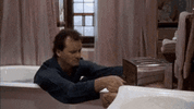 IMG_2260.gif