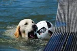 1780633475083.webp