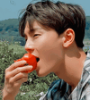 tomato2.gif