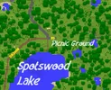 Sportswood_Lake_Dashin Road.webp