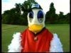 plucka.jpg