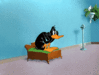 image.gif