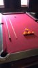 POOL.jpg