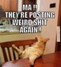 posting weird shit.jpg