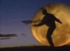 image.gif