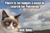 cat ate pokemon.jpg
