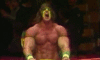 image.gif
