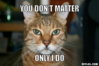 resized_cat-cat-meme-generator-you-don-t-matter-only-i-do-ff90e2.jpg