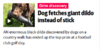 Dog fetches dildo.PNG