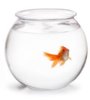 upload_2016-9-15_7-36-44.jpeg