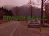 Dragon Ball Z Twin Peaks.jpg