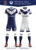 MelbourneVictoryKits.png