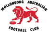 Wgong Lions logo.png