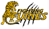 FightingFuries3.png
