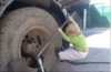 tyreboyz1.jpg