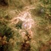 800px-Tarantula_Nebula.jpg