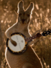 kangaroo-playnig-banjo.gif