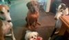 FB_IMG_1483852325807.jpg