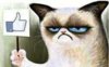 grumpycat like.jpg