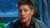 wtf 2.gif
