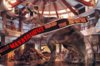 Mayasaurus.jpg