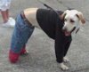 upload_2017-3-10_11-5-21.jpeg upload_2017-3-10_11-5-21.jpeg