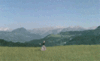 sound of music gif.gif
