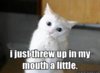 77776-I-just-threw-up-in-my-mouth-a-ytNn.jpg