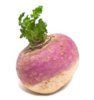turnip.jpg