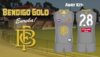 bendigo gold portfolio 2.jpg