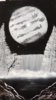 19260411_10154743320831395_530672905510888619_n.jpg