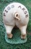 pigs-arse-award.jpg