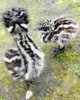 upload_2017-9-5_16-6-8.jpeg