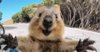 upload_2017-9-16_11-42-41.jpeg