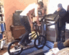 IMG_0681.GIF
