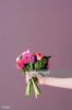 images-7.jpg