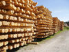 25-stack-of-raw-poles-w1366-h1366.jpg