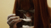4971D397-9B13-47B3-8B80-9E86B8D5E684.gif