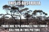 images (6).jpeg