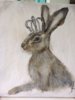 [allissiasattic.co.uk] IMG_3340 hare & crown.jpg